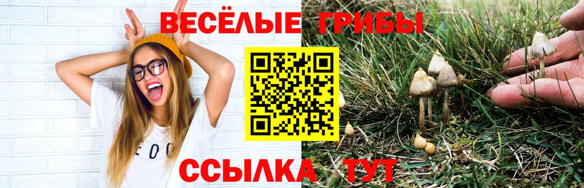 Галлюциногенные грибы Magic Shrooms  Вход с VPN  Дивногорск 