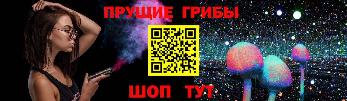 Галлюциногенные грибы Psilocybine cubensis Дивногорск
